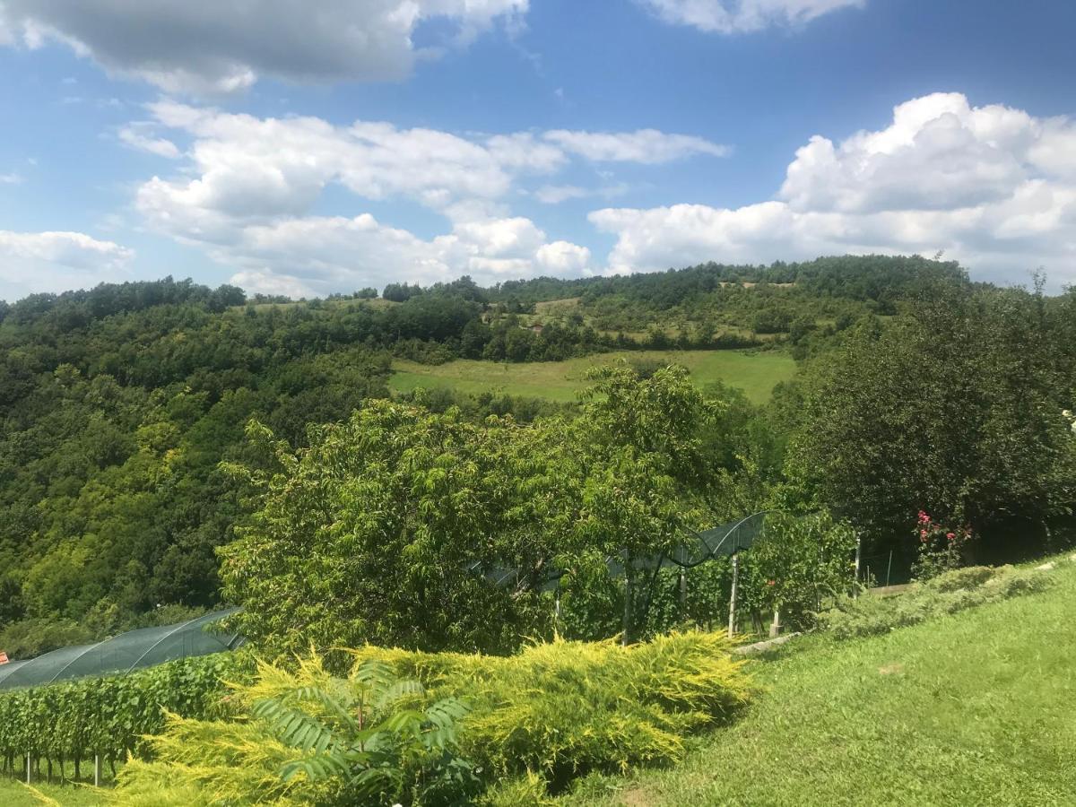 Appartamento Kuca Za Odmor Magdalena&V Krapina Esterno foto