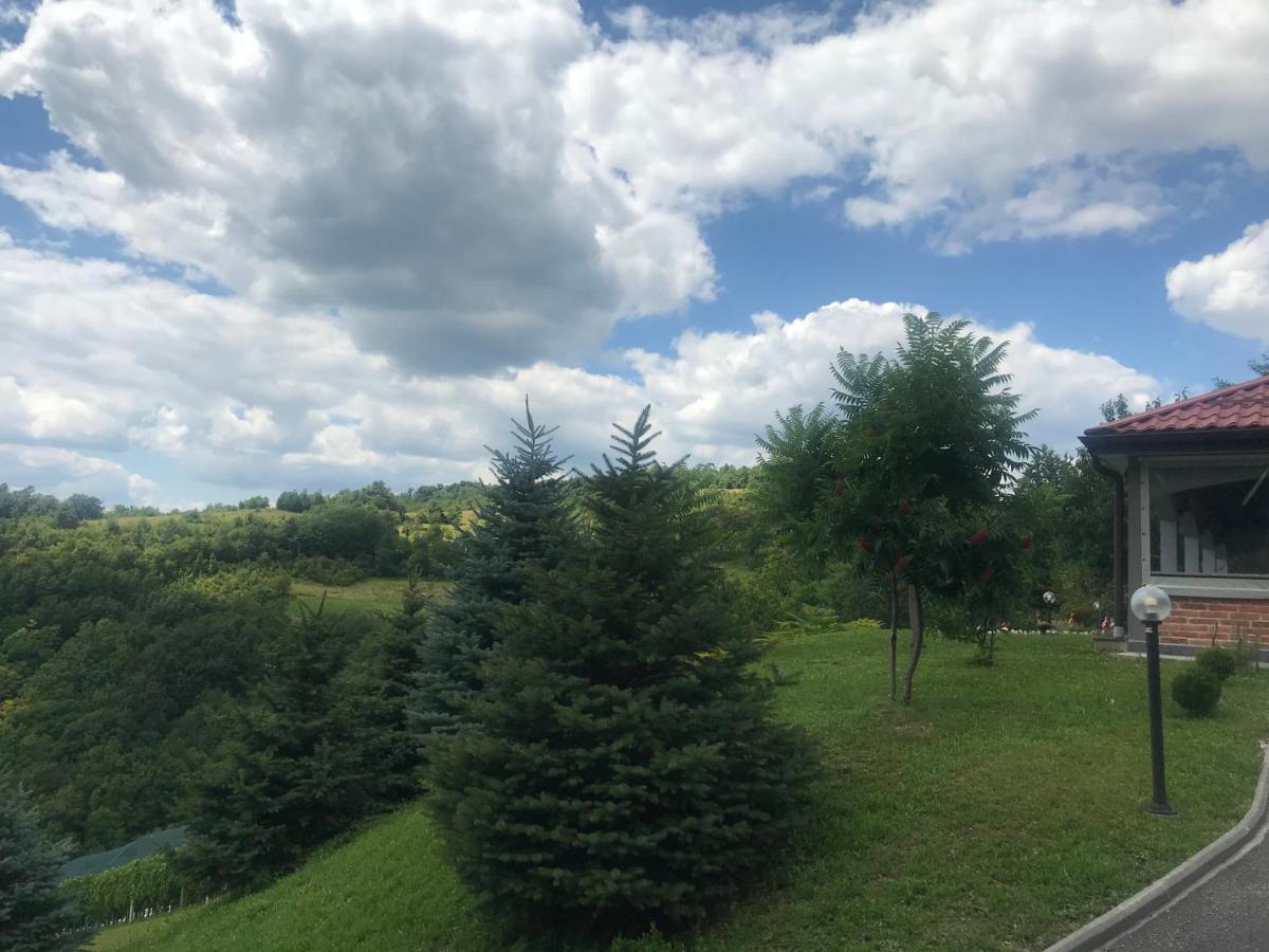 Appartamento Kuca Za Odmor Magdalena&V Krapina Esterno foto