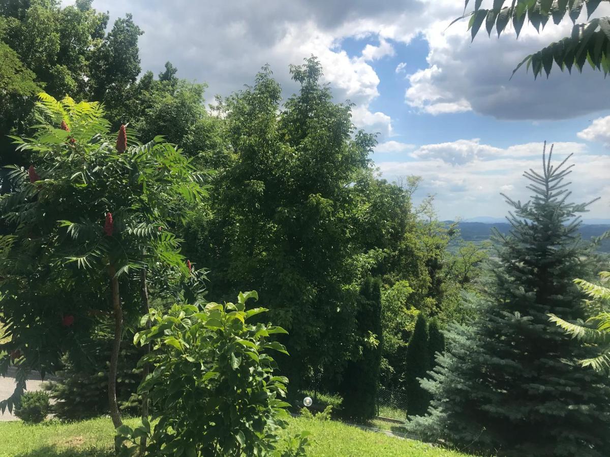 Appartamento Kuca Za Odmor Magdalena&V Krapina Esterno foto