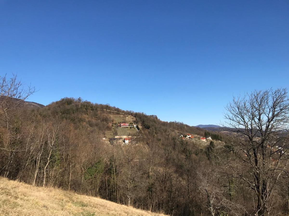 Appartamento Kuca Za Odmor Magdalena&V Krapina Esterno foto